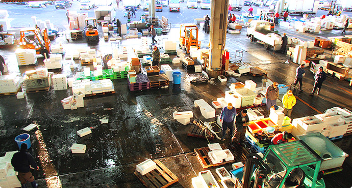 魚市場食堂の小田原丼 Love Local グルメ Love Local Community